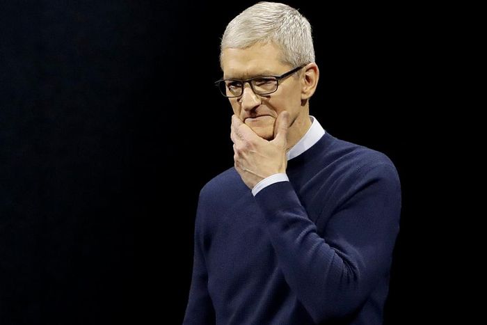 apple ceo tim cook