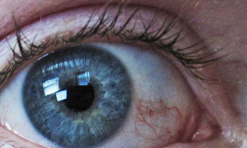 It may be of some use in treating glaucoma, or it may be possible to derive a drug from marijuana for this use.