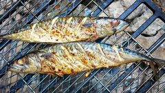 Grilled Salmon