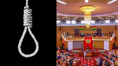 Parliament amends law to make attempted suicide mental health issue