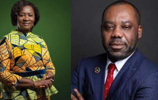 Ghanaians prefer Jane Naana as vice president over Napo in Pulse Ghana polls