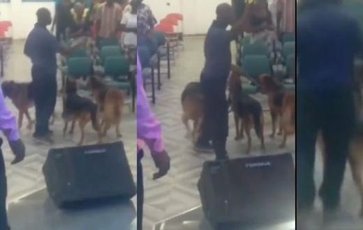 Angry man storms church during prayer and tongue-speaking with 3 wild dogs