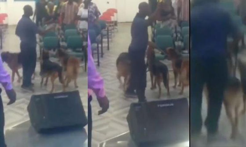 Angry man storms church during prayer and tongue-speaking with 3 wild dogs