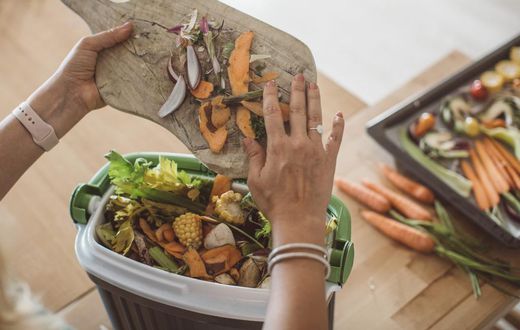 Trying out home composting can reduce your food waste, and it's beneficial for your garden or plants too.