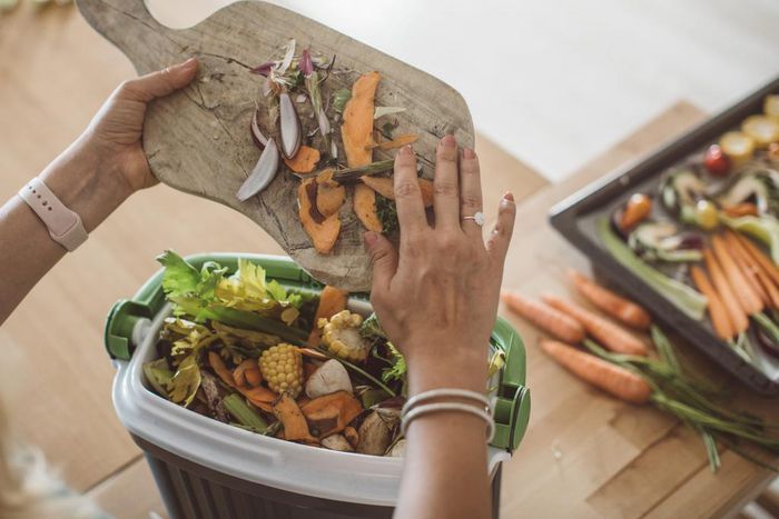 Trying out home composting can reduce your food waste, and it's beneficial for your garden or plants too.