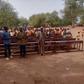 Sports journalist Muftawu Nabila raises funds to buy furniture for deprived Duu Basic School