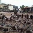 Ashaiman residents arrested and tortured by soldiers must be compensated – Mahama
