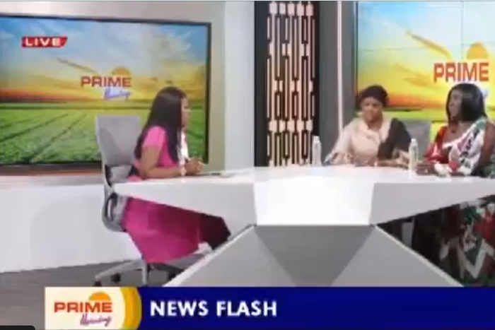 NDC’s Dr Hanna Bissiw walks off live TV show, says NPP rep isn't at her level