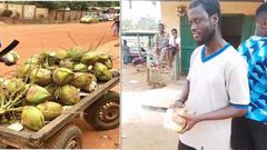 Video of visually impaired coconut seller serving customers warm hearts