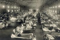 Bubonic plague caused the death of about 75 - 200 million people [Hospitalfield]