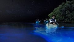 Puerto Rico's bioluminescent bays [Tripadvisor]