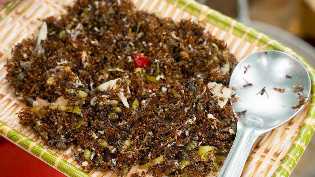 Edible ants [YouTube]