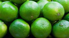 limes