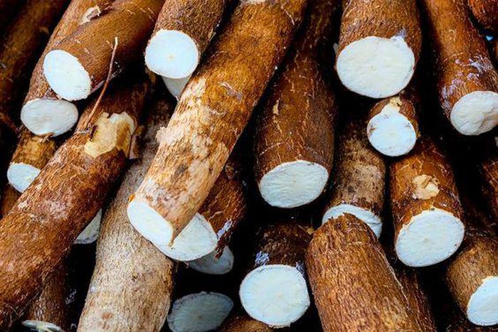 Cassava [Thespruceeats]