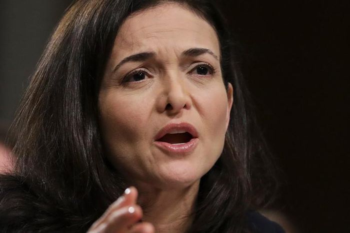 sheryl sandberg facebook coo