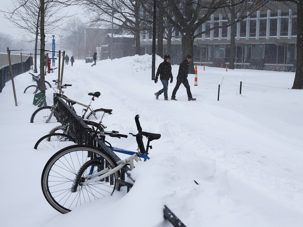 What it's really like to attend an Ivy League school