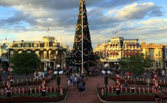 Disney at Christmastime is the most magical place on earth.