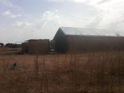 Mamprusi and Gonja tribes clash