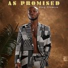 King Promise's 'As Promised' album