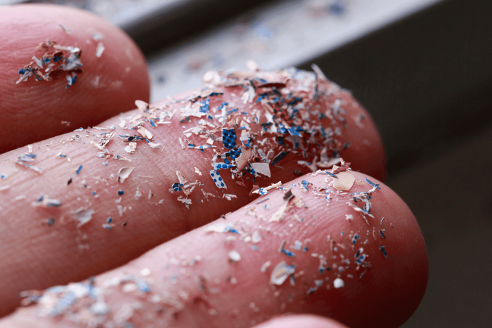 Microplastic found in sperm [environmentalworkinggroup]