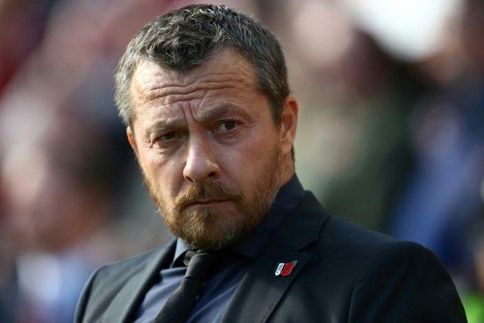 Slavisa Jokanovic insists he could led Fulham away from relegation danger