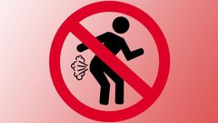 Lawmaker’s smelly fart brings proceedings to a halt, speaker orders spraying of chamber with air freshener
