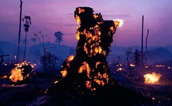 DEFORESTATION, BRAZIL