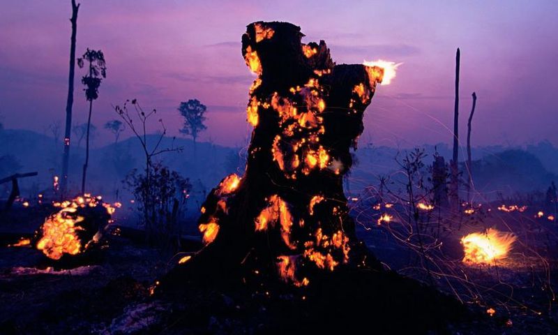 DEFORESTATION, BRAZIL