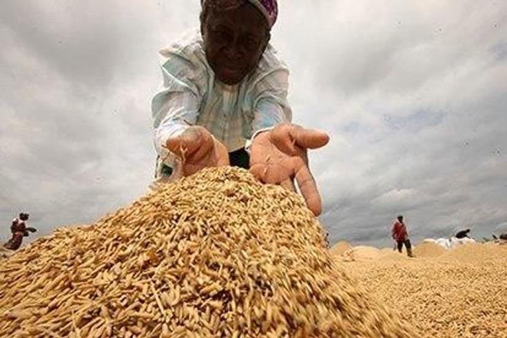 Local rice farmers have kicked against the decision of the ministry to allow rice importation through three land borders of the country.