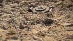 Mine Landmines