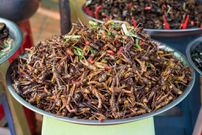 Edible crickets [MedicalNewsToday]