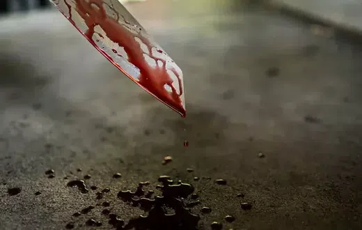 Police arrest woman who stabbed Aunt to death over  electricity bill