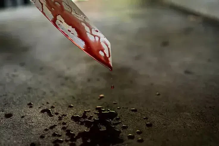 Police arrest woman who stabbed Aunt to death over  electricity bill