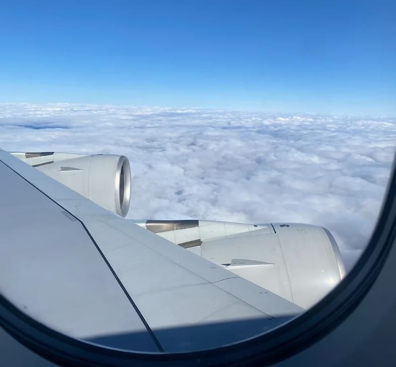 View of the wing and engine of an Airbus A380 [Michael Quandt/Bild]