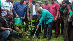 Green Ghana Day: 10 million seedlings to be planted