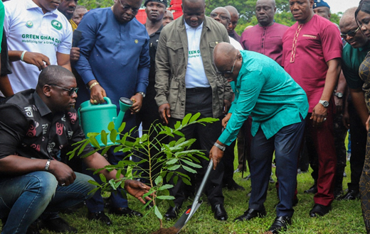 Green Ghana Day: 10 million seedlings to be planted