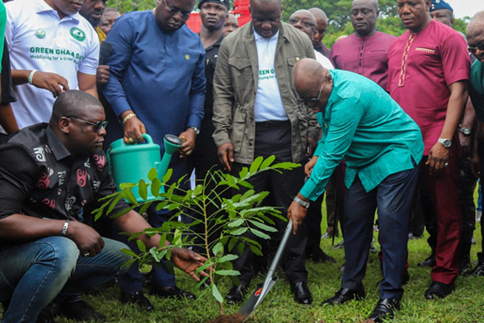Green Ghana Day: 10 million seedlings to be planted