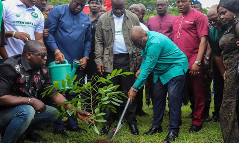 Green Ghana Day: 10 million seedlings to be planted