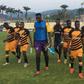 Ashanti Gold