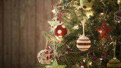 Christmas trees