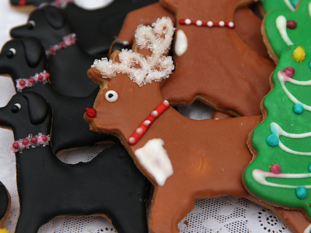 The fascinating history behind 11 common Christmas traditions