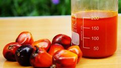 How to extract palm fruit extract for Ofe Akwu and Banga soup