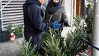 Christmas Tree vendors, new york city