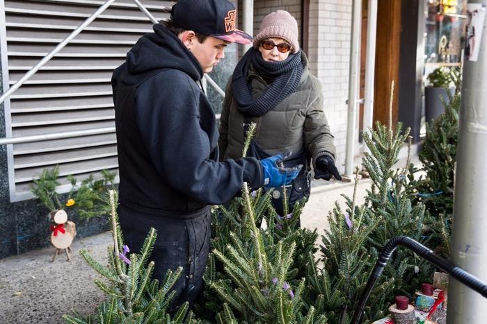 Christmas Tree vendors, new york city