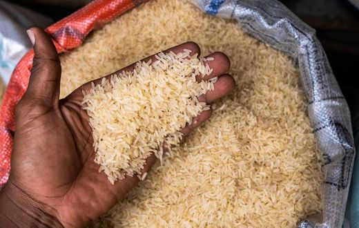 Rice