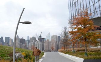 roosevelt island