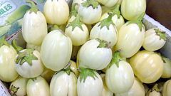 Garden eggs [my Africa Caribbean]