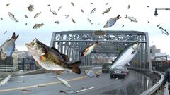 Science still can't fully explain some earth happenings [USAHerald]