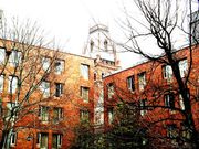 What it's really like to attend an Ivy League school