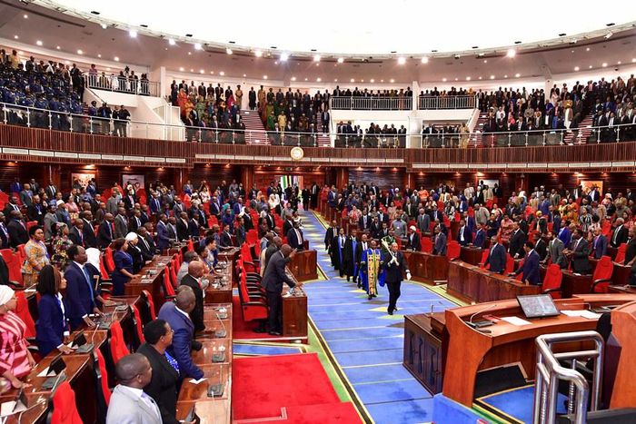See Tanzania’s approved national budget, an Sh2.9 trillion jump from 2022’s budget